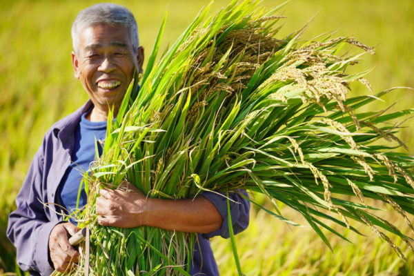 江西官宣！农民可免费上大学，只需满足4个条件，已经开始报名啦