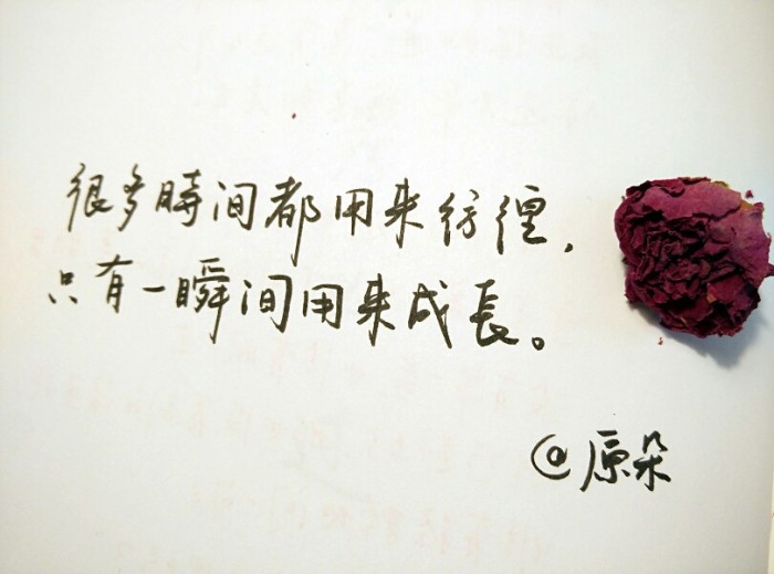 弹一首春夏秋冬，唱着时光的永恒，愿你如爱所愿，成为最幸福的人