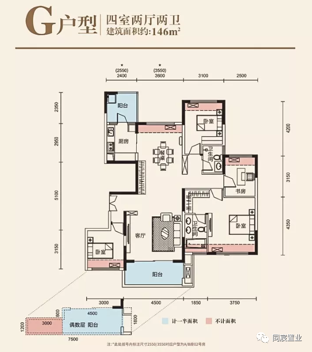 深圳大学优秀生源基地，深大附属教育集团(下)