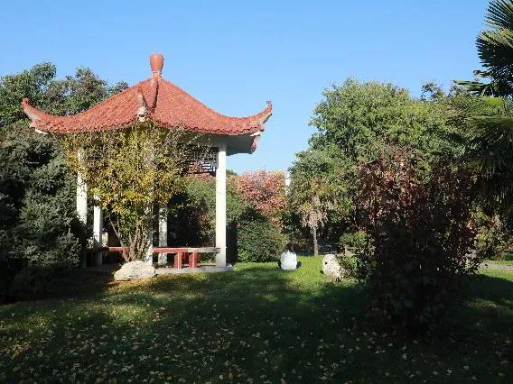 陕西最“豪华”大学之一！坐拥4大“网红”食堂，游泳馆、商业街一应俱全！