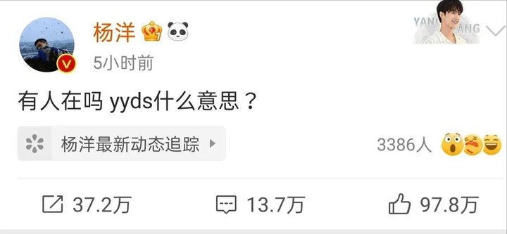 主编说我在捡垃圾，因为我写文章用了「绝绝子」和 YYDS……