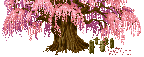 「苦乐年华18」第六章大学时代第1节：河北师范学院简介（3）