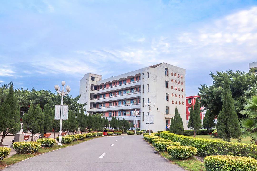 愿你出走半生，归来仍是少年