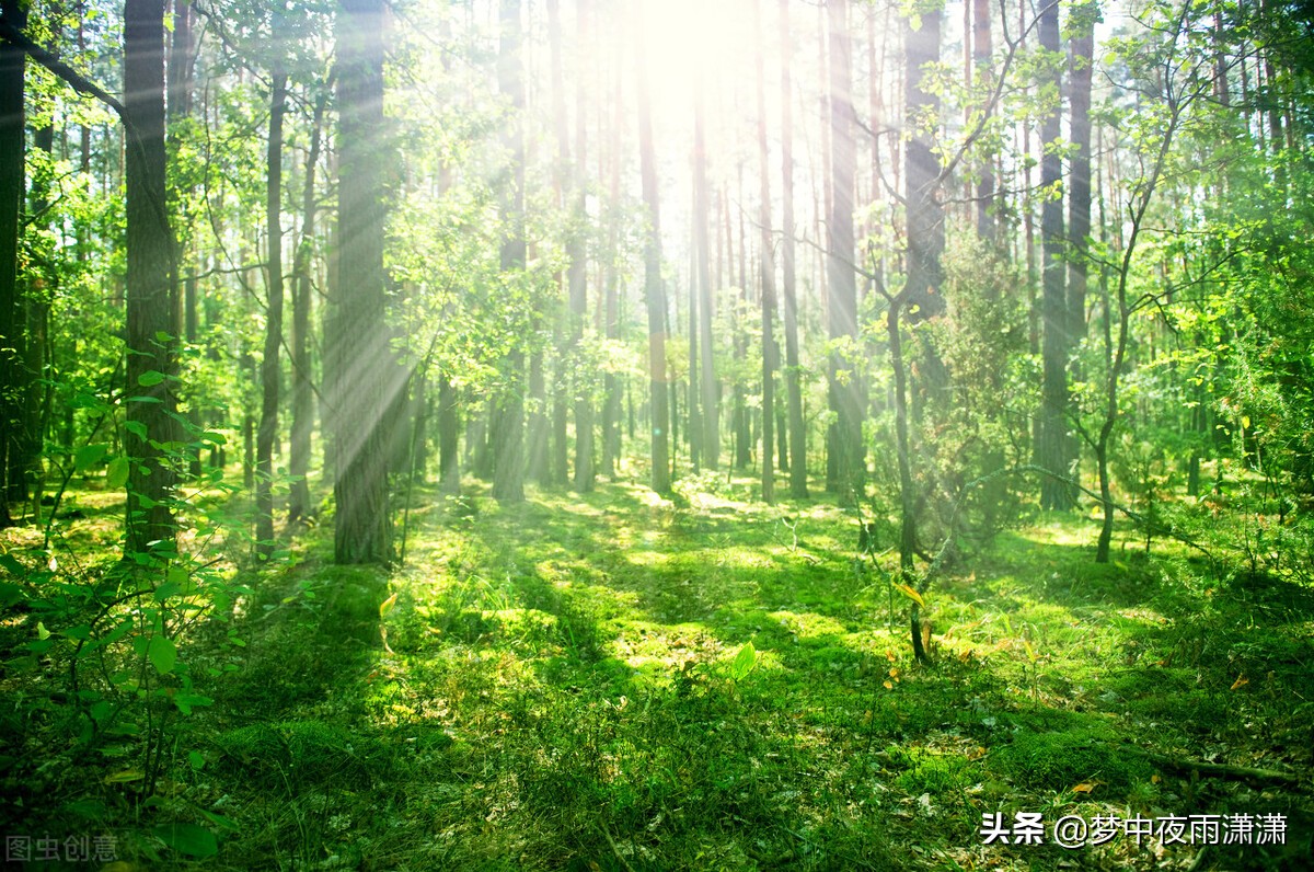 生于俗世，不染一尘，白羊座