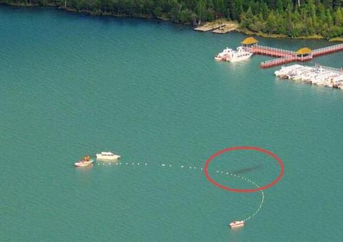 喀拉斯湖水怪秘密：原因是大红鱼吗？