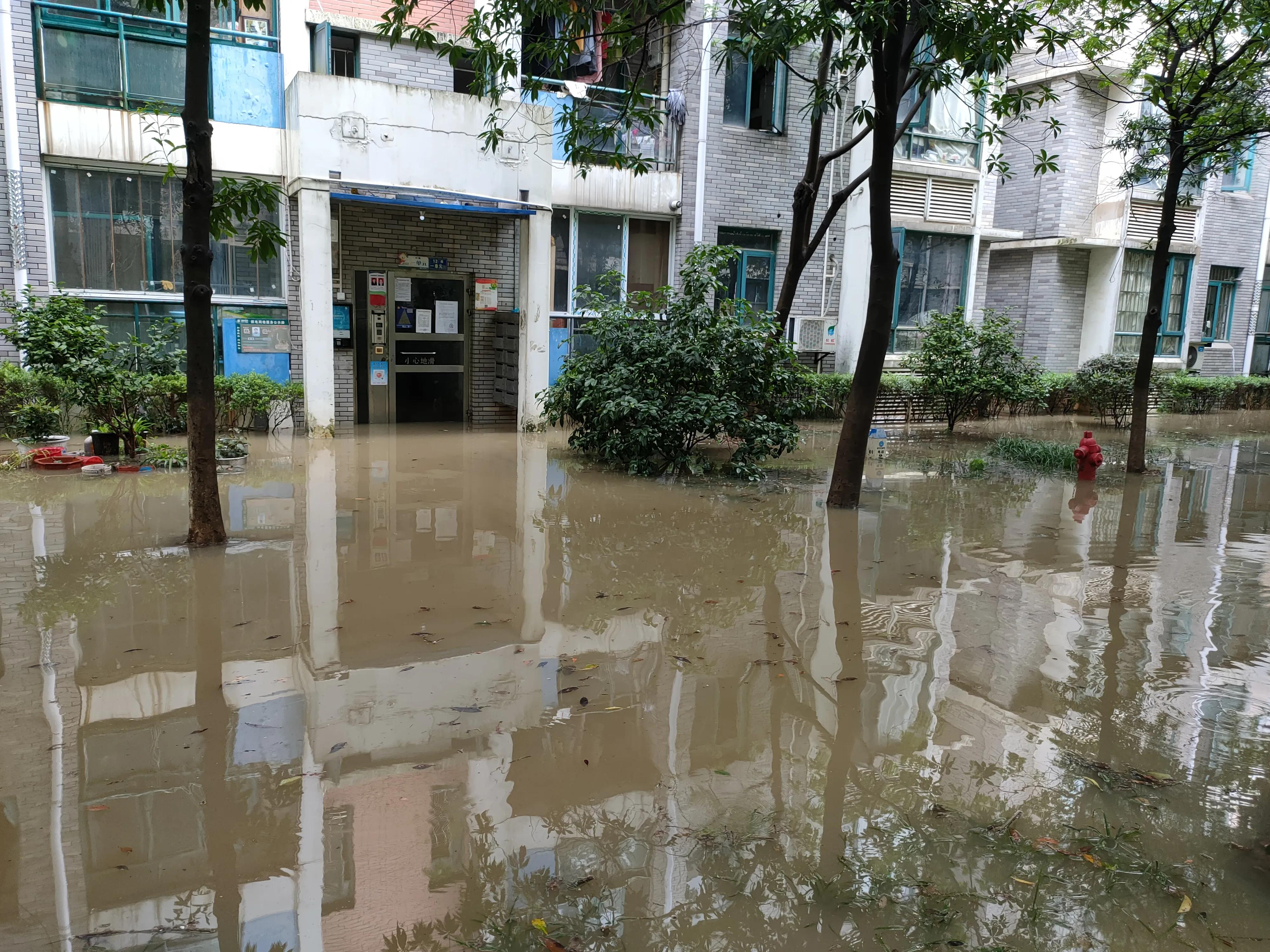 大风雨过后的武汉——恒哥正能量