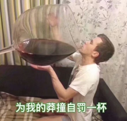 搞笑表情包：为我的莽撞自罚一杯