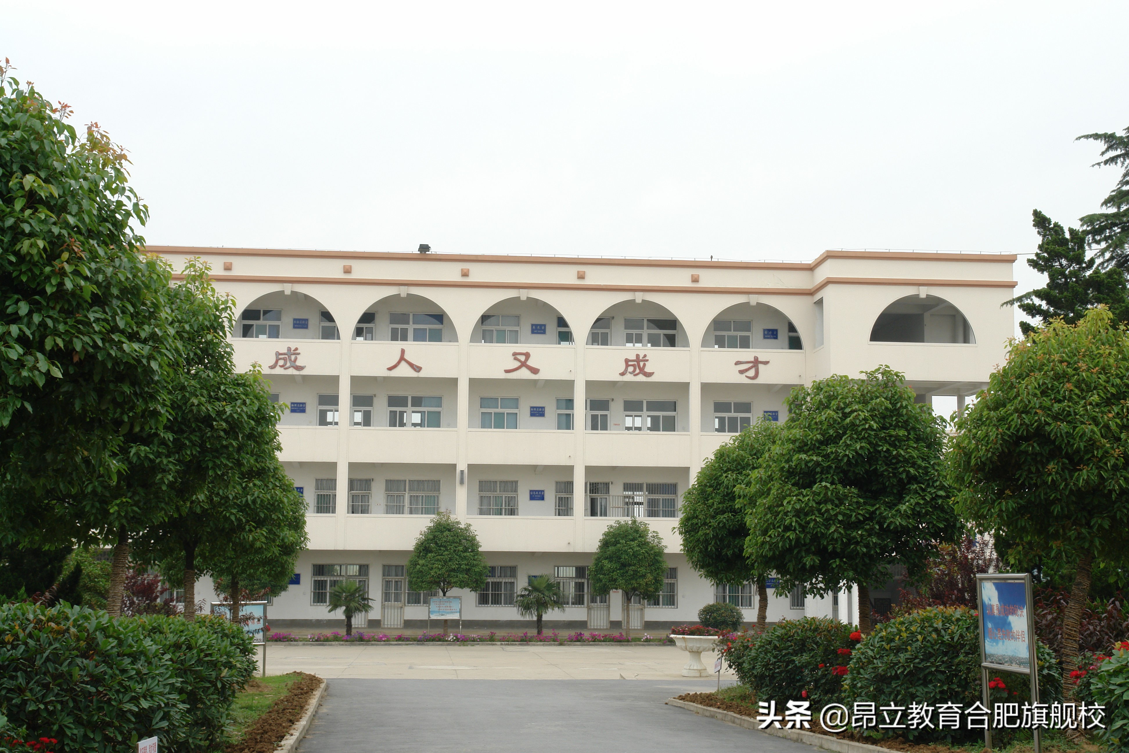 合肥幼升小 || 2021民办小学盘点（一）