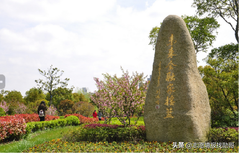 上海立信会计学院2019年录取数据分析，为何外省高分，本地垫底？