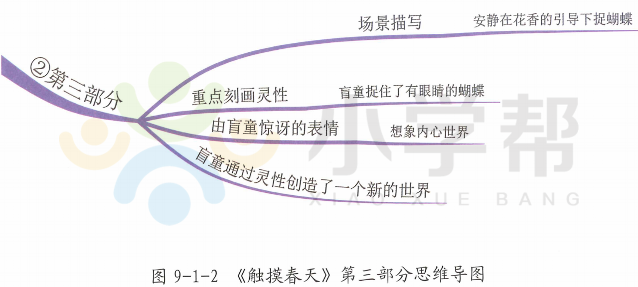 思维导图写作方法 ▏读名篇，学作文——《我身边的一件事》