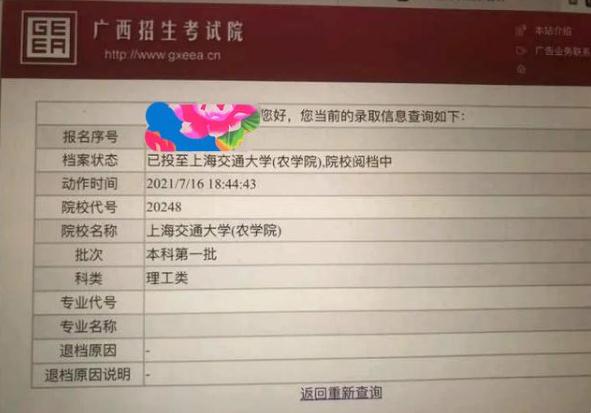 广西高考出现锦鲤，556分捡漏上海交通大学，这志愿填得颇有技巧