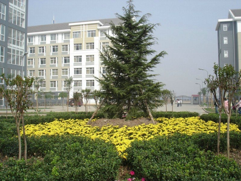 浙江理工大学VS天津工业大学艺术类专业，冠军的帽子戴给谁？