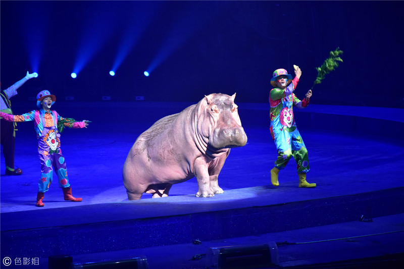 三天三夜欢乐长隆之旅（附攻略）