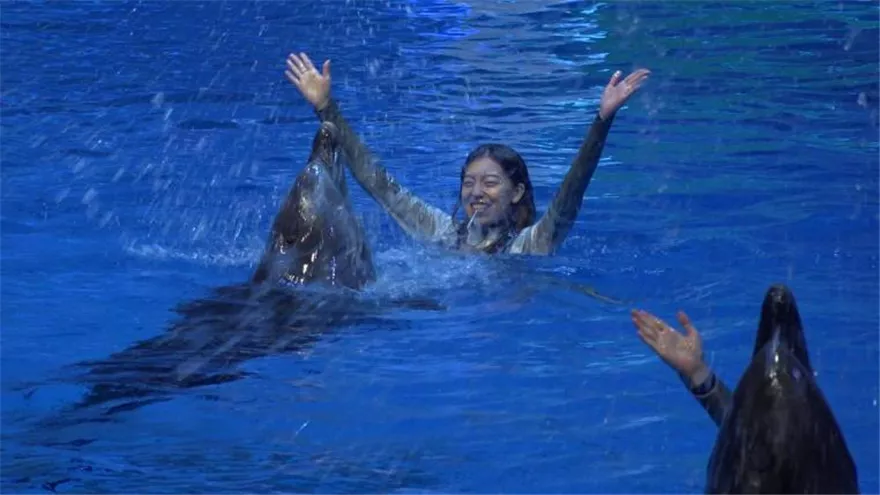 桂林市第十八中学初中部横塘校区初二年级秋季研学活动记实