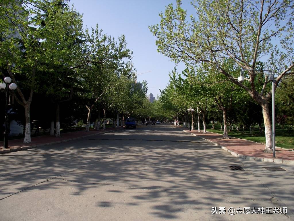 山东工商学院2020新高考各专业分数详情（2021考生收藏）