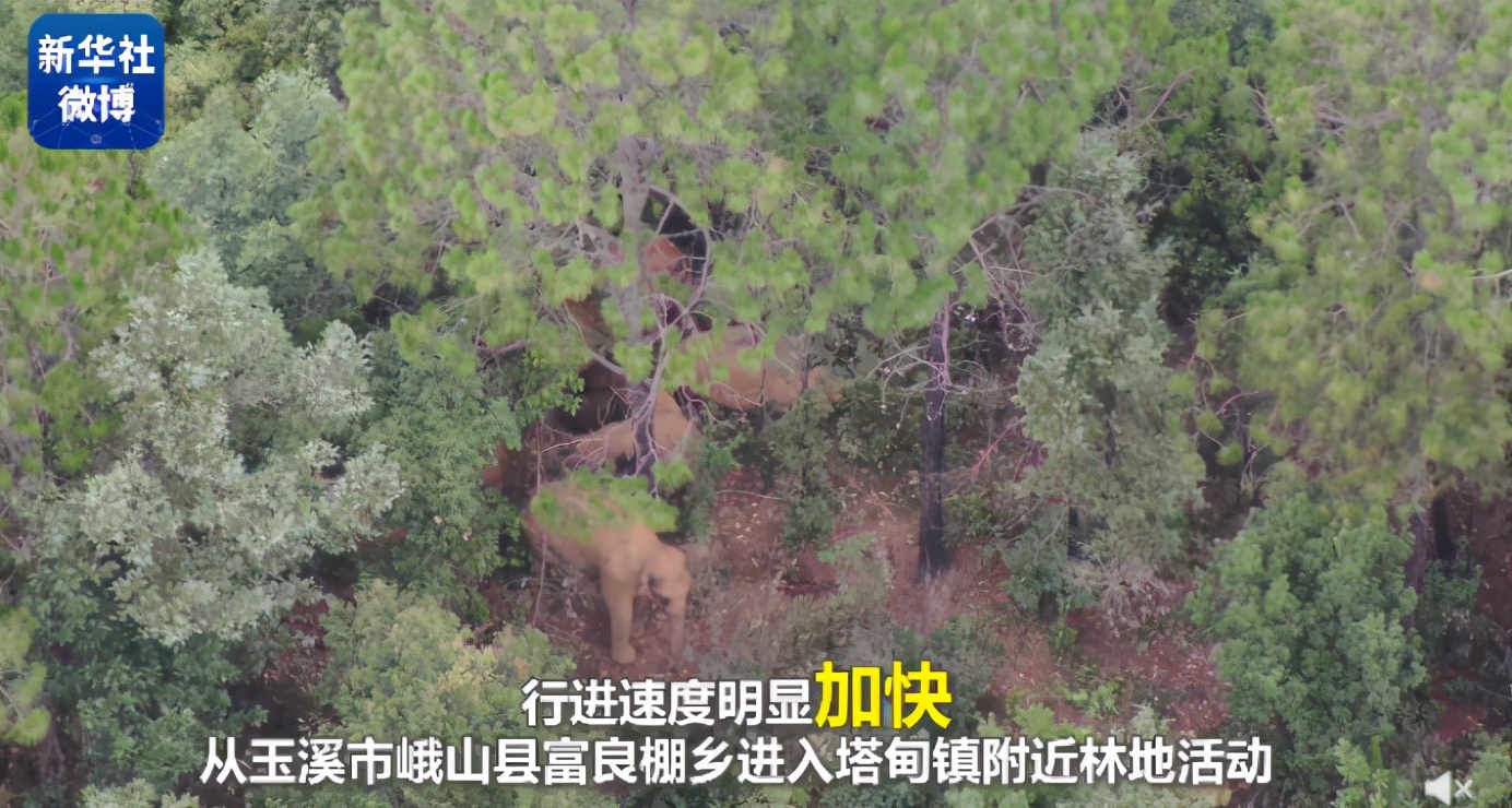 外卖小哥高考623！查分第二天继续送外卖【三分钟法治新闻全知道】