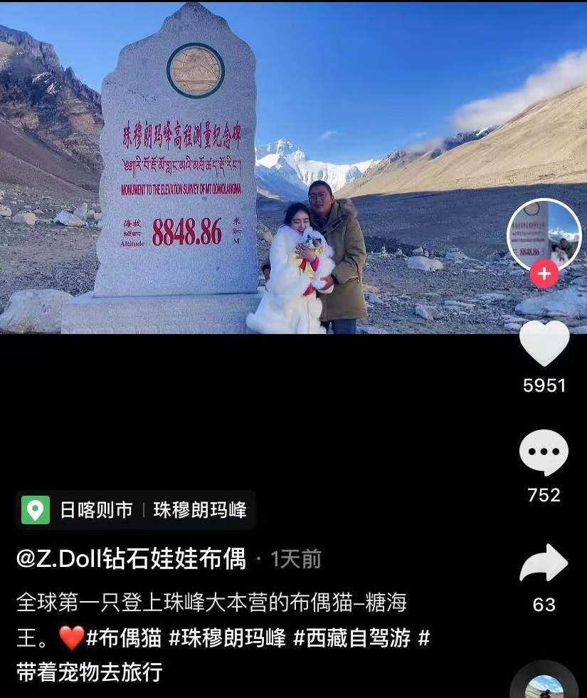 博猫平台注册开户注册（网红被指博眼球）
