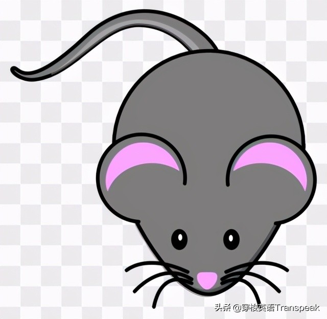 quiet as a mouse 安静得像只耗子？就是蹑手蹑脚呗