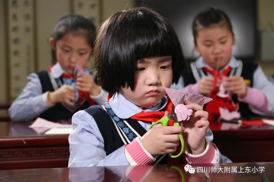 四川师范大学附属上东小学2020年秋季一年级招生公告