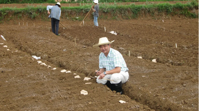 四川双一流教授：自掏腰包做科研，创下10亿经济效益，技术达国际先进水平！