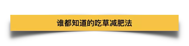 BBC最新减肥纪录片颠覆想象:减肥的办法,居然是多吃肉?
