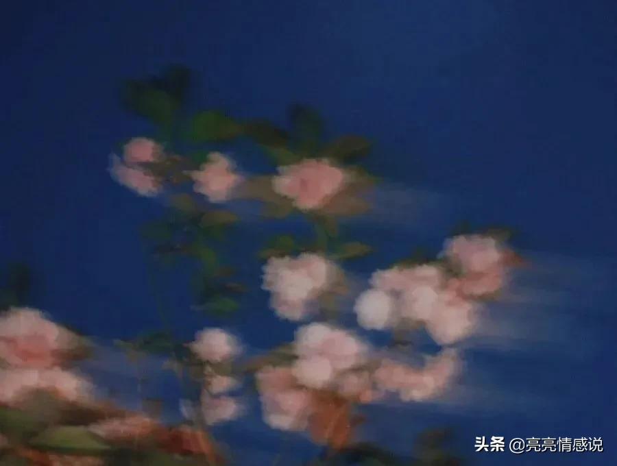 致暗恋：窗外下起了大雨，你没看我，我没看雨