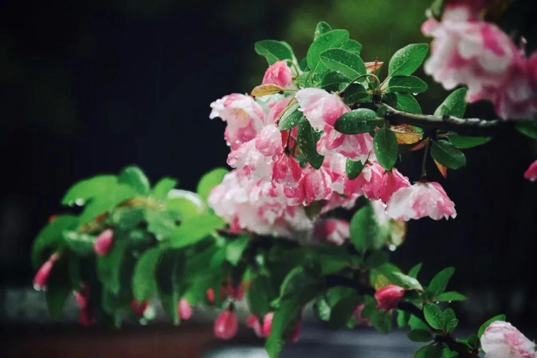 坐拥三大校区，占地2655亩，培养超30万精英，十个理由让你爱上山东这所高校！