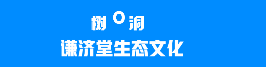 树洞一个手机只能注册一次（树洞）