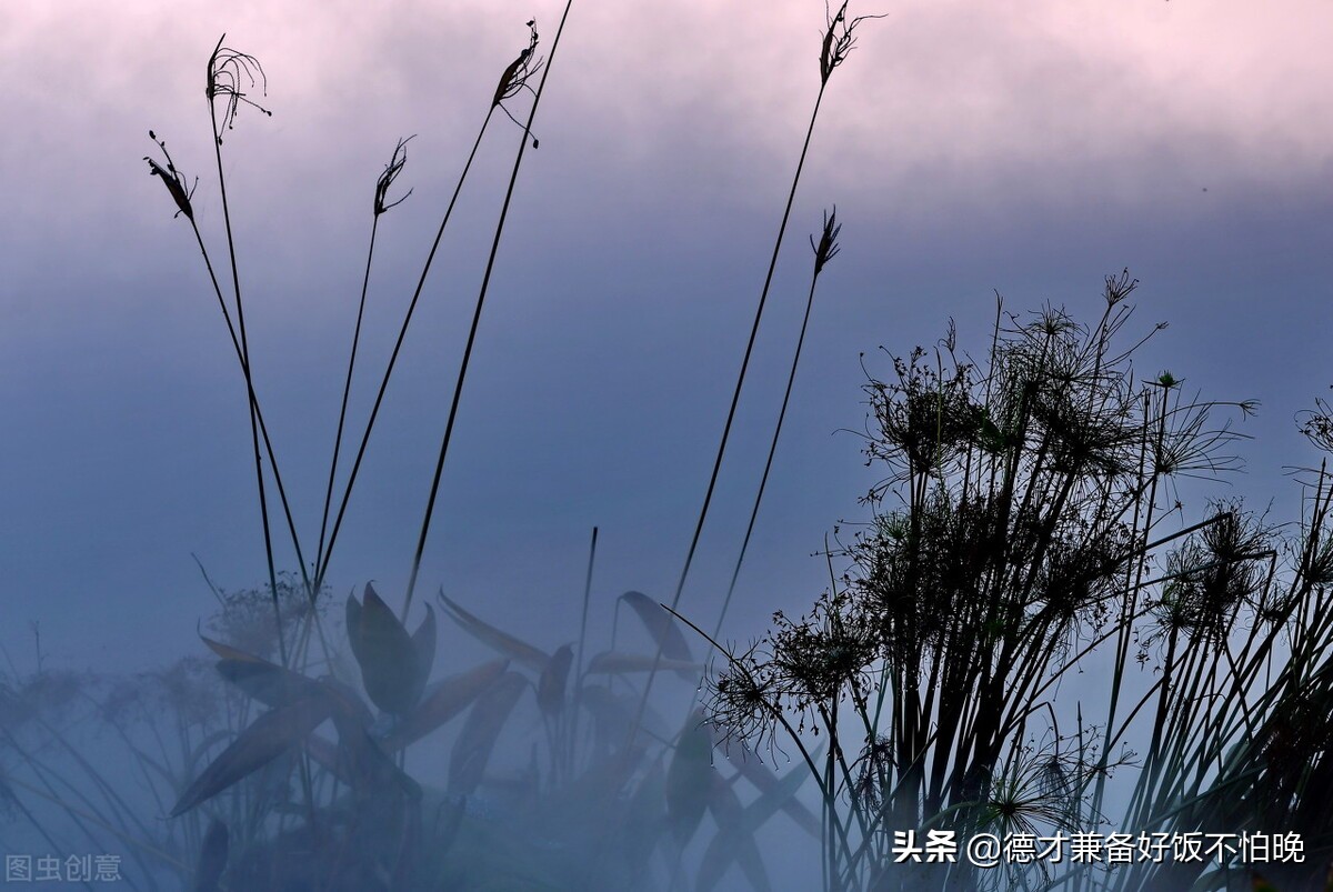 放松自己，成就无忧无虑的人生