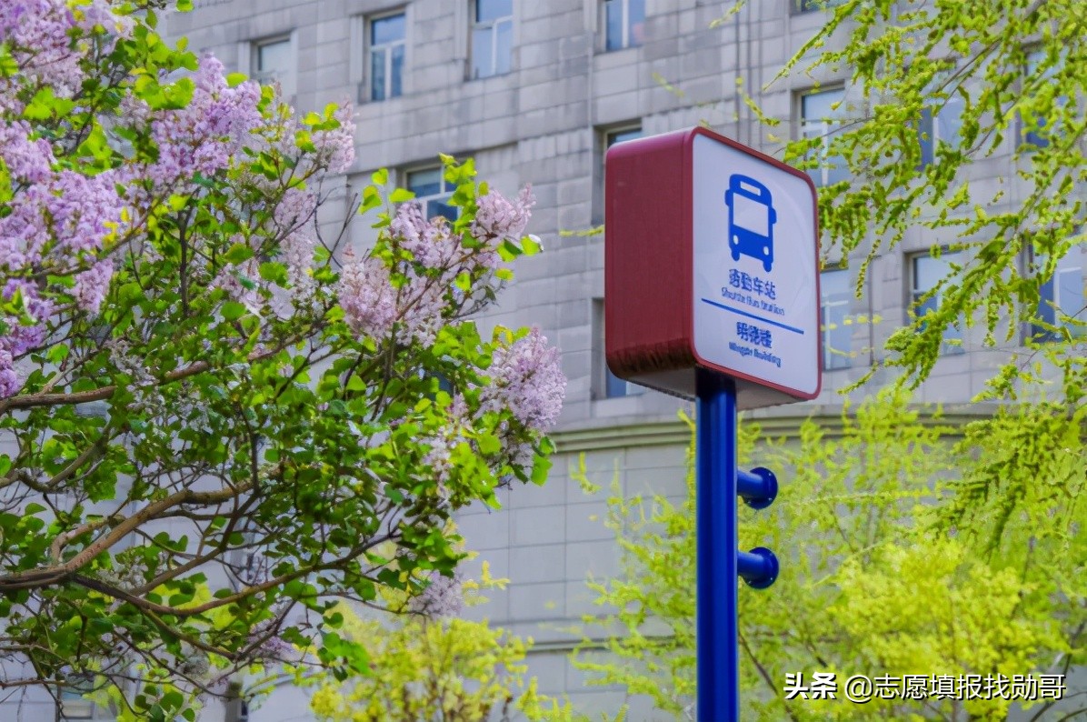 哈尔滨工业大学和厦门大学，一南一北两所985名校，你选哪一所？