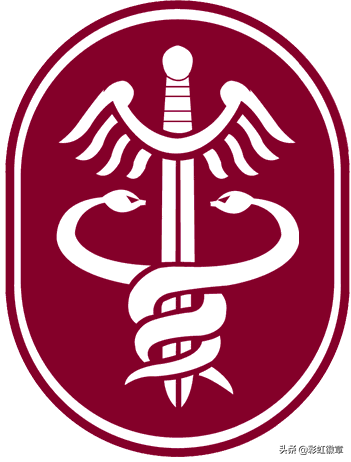 蛇杖到底是什么,盘点世界上的蛇杖徽章(徽章看世界)