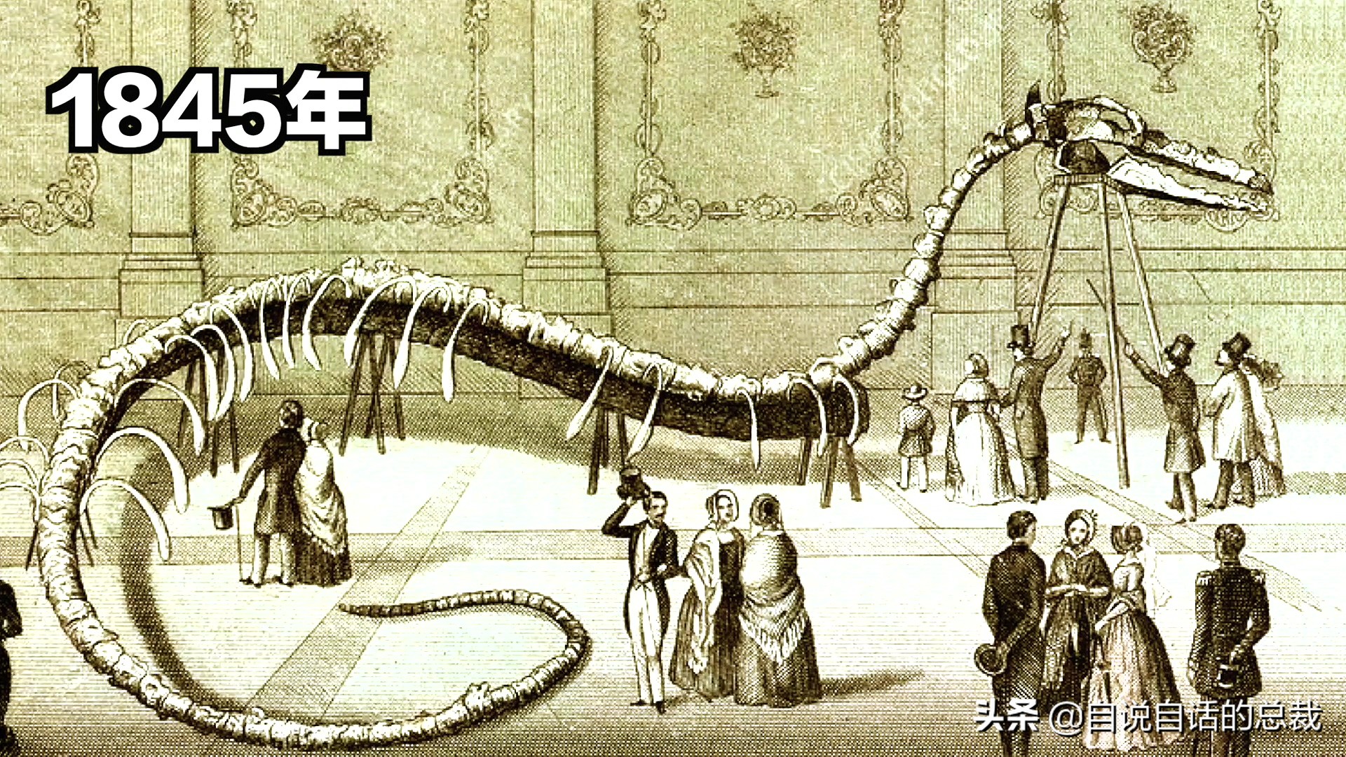 5种比巨齿鲨还恐怖的海怪，背后隐藏着一个人类起源的故事