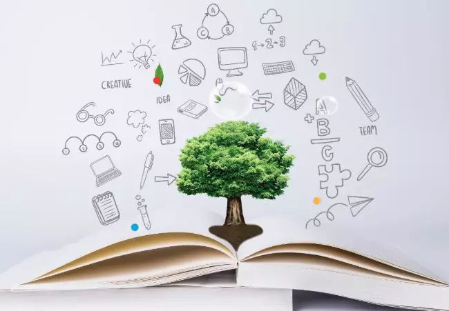 国际学校女子图鉴——女Founder的创校二三事