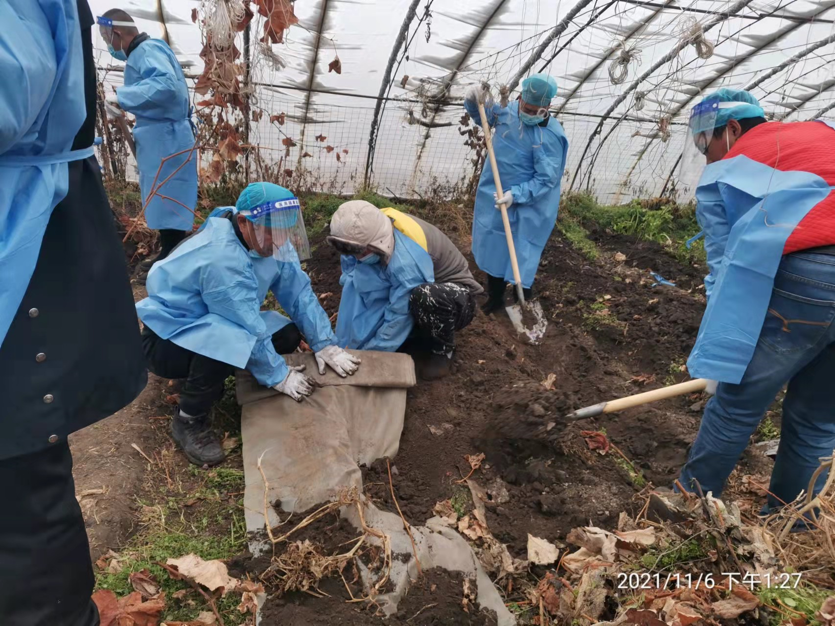 平房区：强化组织引领 携手共抗疫情