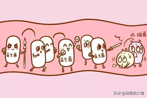 宝宝腹泻如何家庭护理？腹泻奶粉、益生菌、乳糖酶，哪一种更靠谱