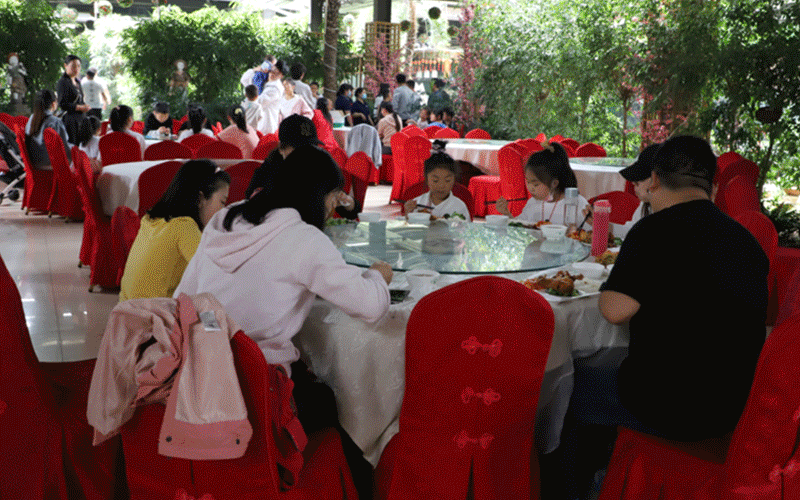 第三期「自然教育师」线下培训