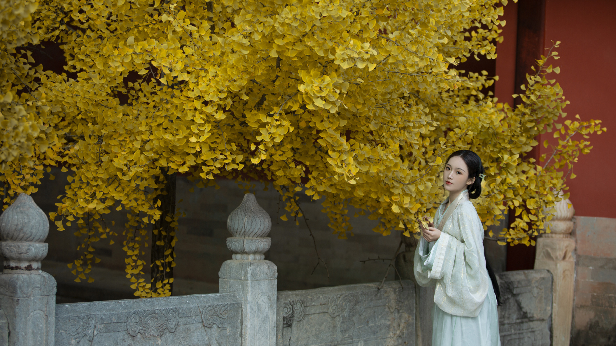 在秋日里穿汉服也太美了,娴静美好,古典美人就应该是这样的