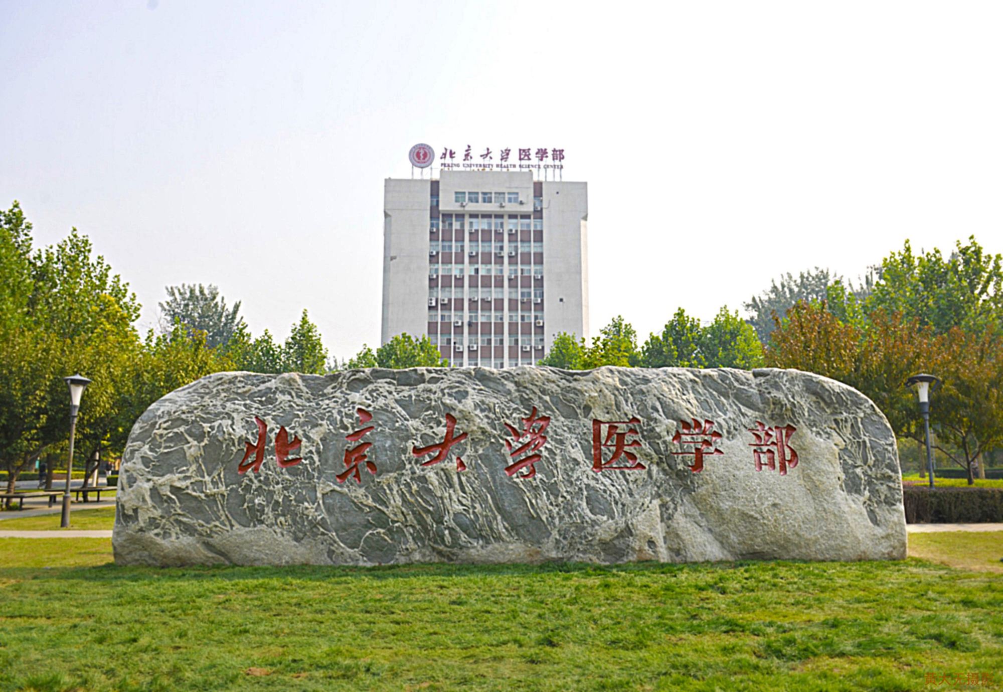 最佳医学临床排行:上交第1,协和第6,郑大13,山大24