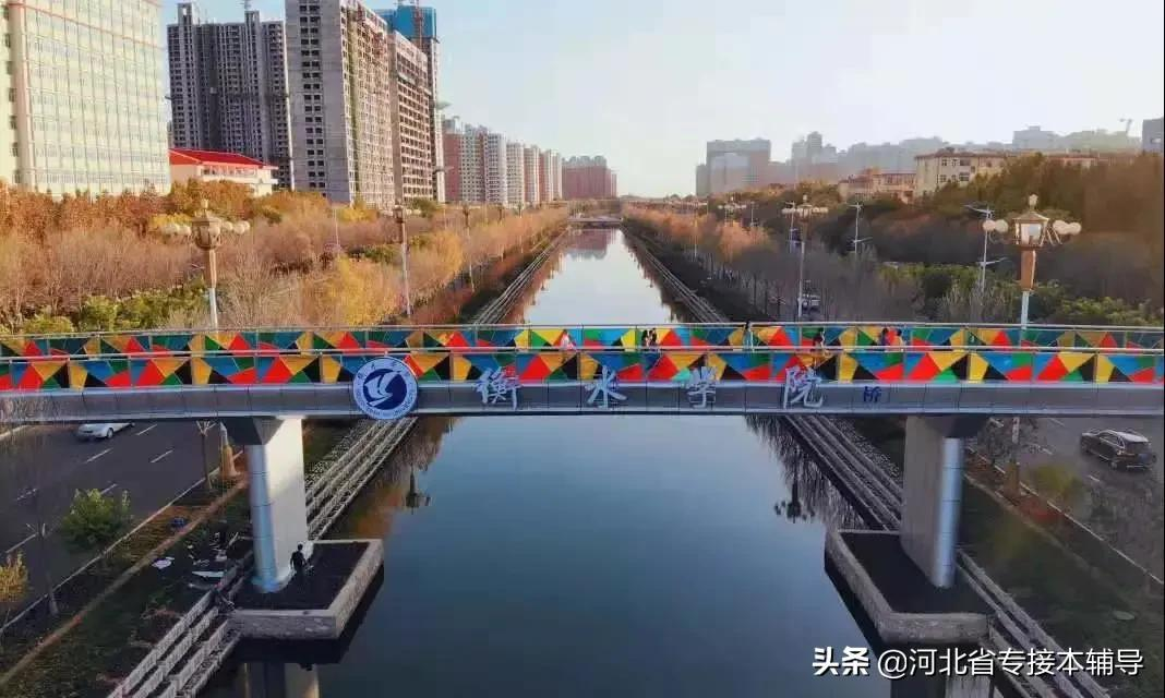 衡水学院：相比上一年招生减少1/3的名额