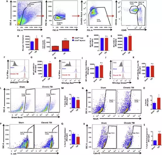 062期抑研报｜大学生抑郁症发病与这些因素密切相关