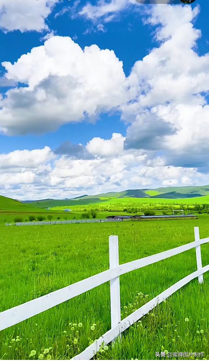 綠色護眼壁紙背景圖, 無論去哪沿途都是風景