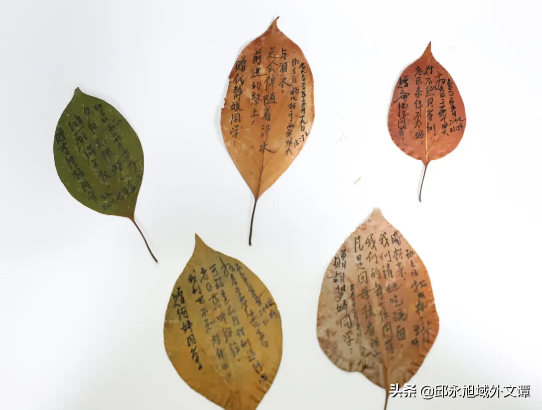 四川某高校班主任耗时2月自制357份毕业礼物，大学各有各的妖娆