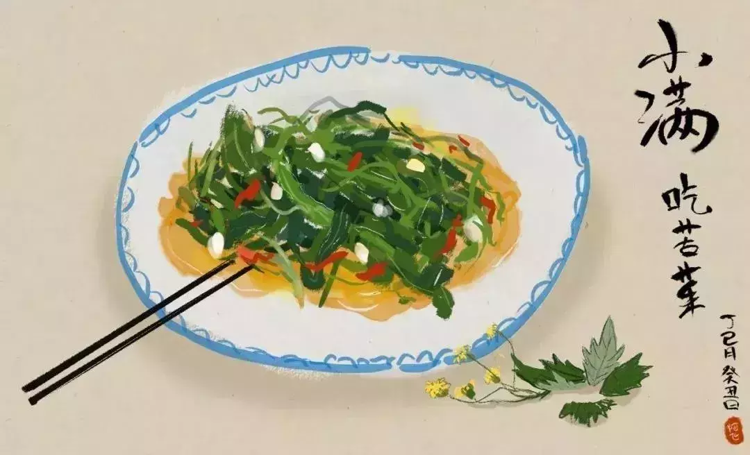 小满物语丨将满未满,知足常乐