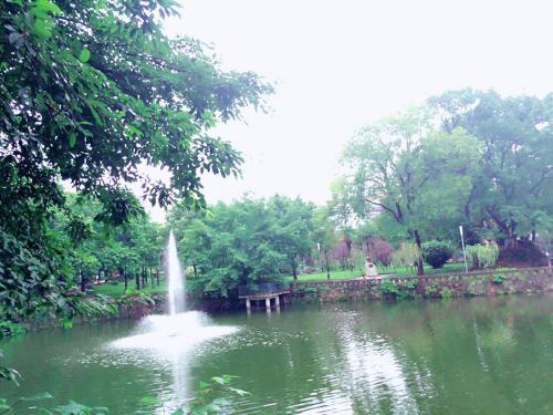 重庆大学2018-2019年硕士研究生招生考试复试分数线