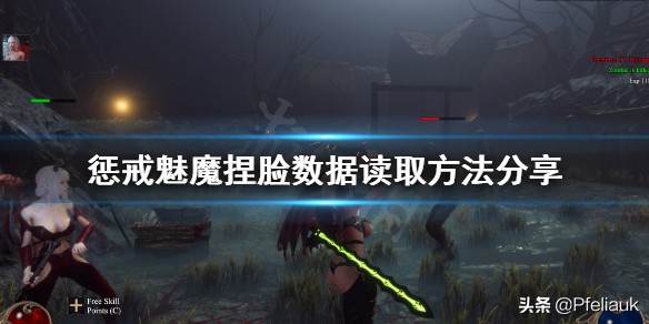 惩戒魅魔捏脸数据补丁 附使用教程