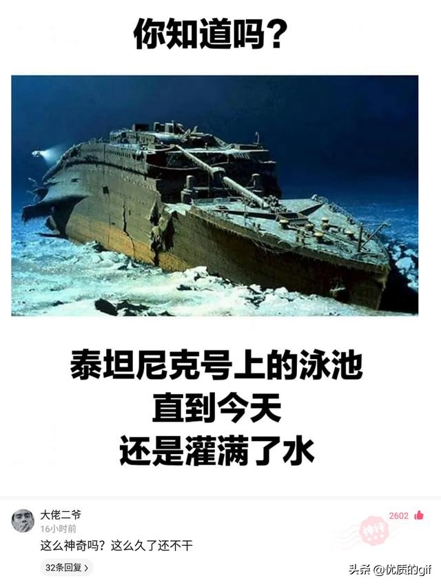 神回复：我姓秦，出生那天刚好是爷爷60大寿，所以我叫？