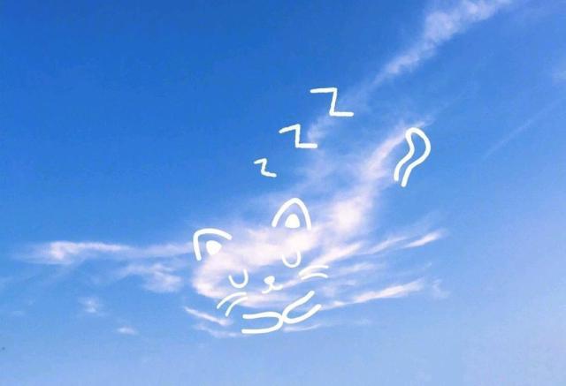 心有阳光唯美句子适合发朋友圈 心若向阳最经典语句图片