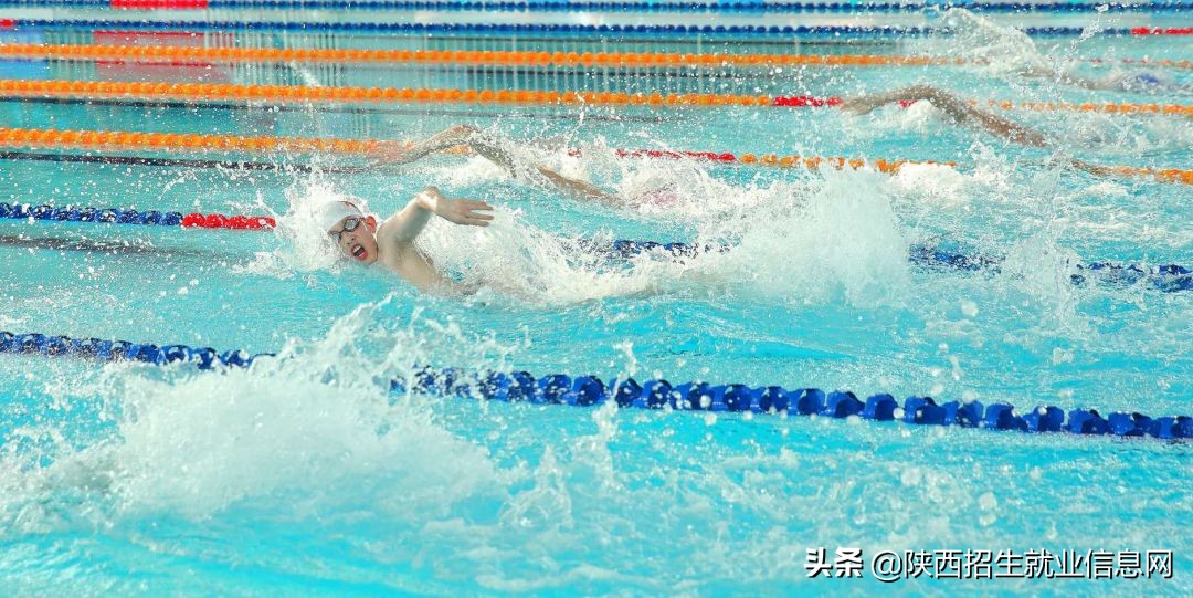 阳光正好丨多维度、高清图，带你一起了解咸阳职业技术学院