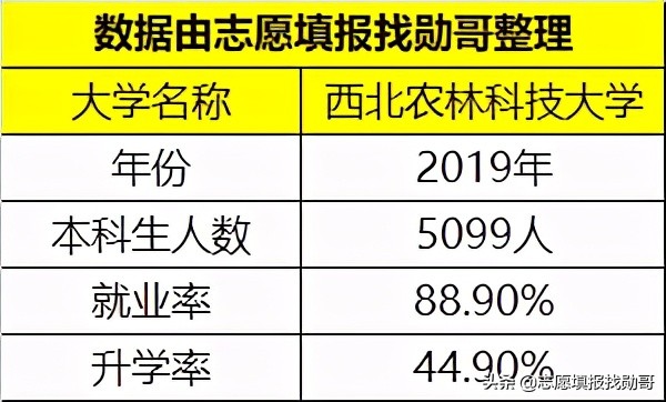 这所985大学，特别“平易近人”，高考600分都不用，就能上