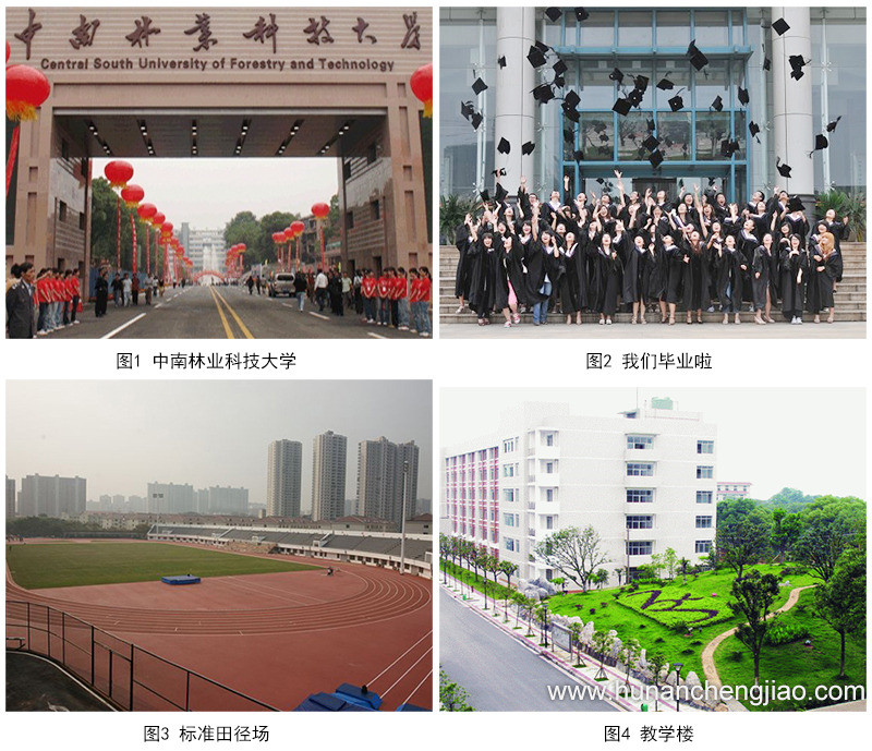 2020年湖南成人高考报考学校